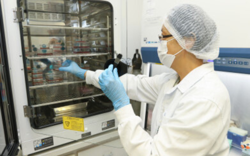 Empresas das áreas de odontologia e agronegócio já licenciaram a tecnologia desenvolvida na Unicamp. Foto: Pedro Amatuzzi – Inova Unicamp